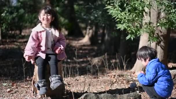 Fotoğrafı Çocuklarımla Doğayla Dolu Bir Parka Gittiğimde Çekmiştim — Stok video