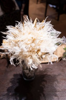 Kedi gibi görünen bir buket pampa otu.