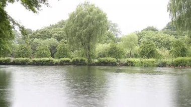 Yağmurda doğal bir parkta fotoğraf çektim. Eğlenceliydi