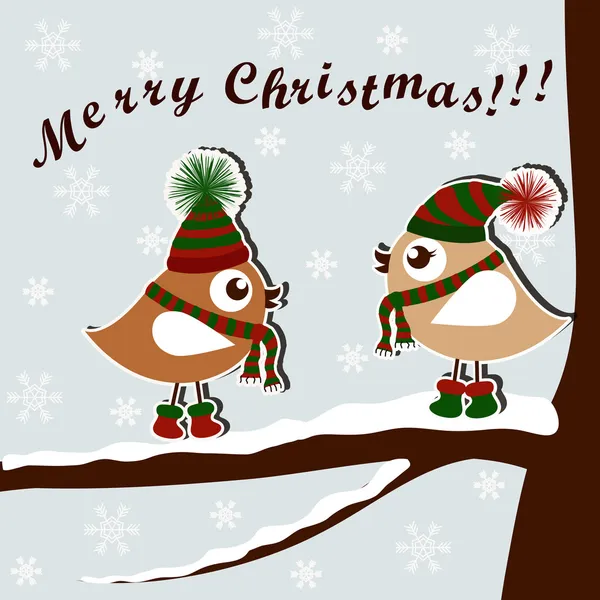 Eine schöne Weihnachtskarte mit den Vögeln — Stockvektor
