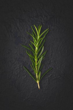 Siyah arkaplanda biberiye