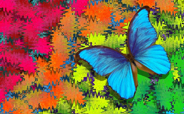 Farben Des Regenbogens Blauer Tropischer Morpho Schmetterling Auf Verschwommenem Buntem — Stockfoto