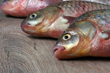 Mutfak masasında taze balık. Masanın üzerinde balık sazan balığı var. Yakın plan.