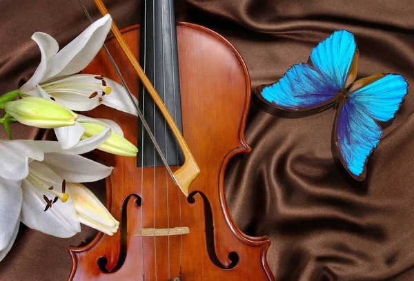 Concepto Música Violín Lirio Blanco Mariposa Morfo Azul Sobre Fondo — Foto de Stock