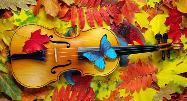Melody Autumn Violin Colorful Autumn Fallen Leaves Bright Blue Morpho — Stock Photo, Image