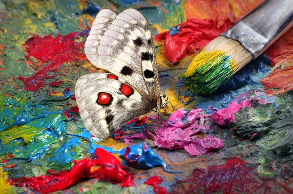 Painting Concept Artist Palette Paintbrush Bright Colorful Apollo Butterfly Apollo — Stock Photo, Image