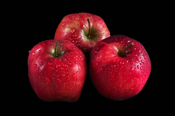 Ripe Red Apples Drops Water Black Close — Stock Photo, Image