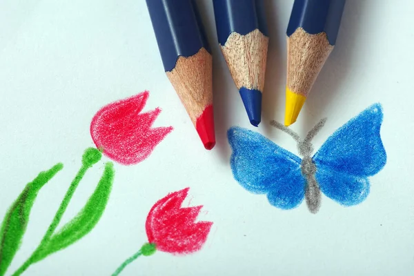 Children Drawing Pencils Blue Butterflies Red Tulips Child Drawing — стоковое фото