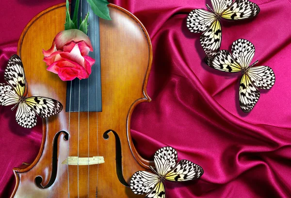 Violin Rosa Ros Och Färgglada Tropiska Fjärilar Röd Silke Bakgrund — Stockfoto
