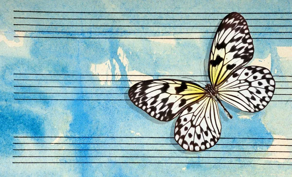 Colorful Butterfly Notes Butterfly Melody Photo Old Music Sheet Blue — Stockfoto