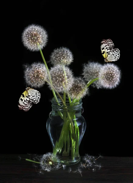 Bouquet Fluffy Dandelions Glass Vase Bright Butterflies Black Rice Paper — Stockfoto