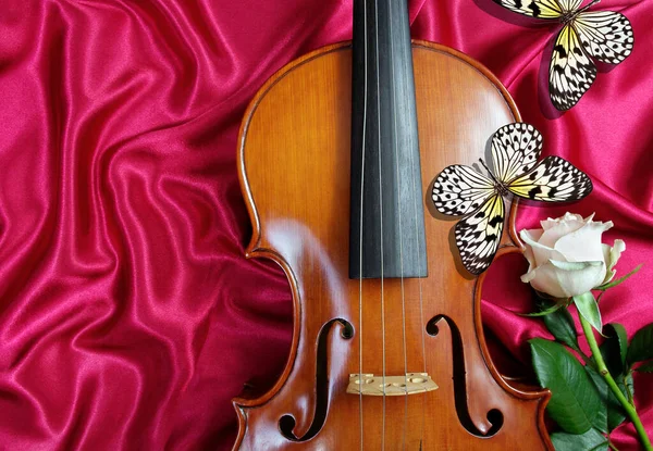 Violino Rosa Bianca Farfalle Tropicali Colorate Sfondo Seta Rossa Idea — Foto Stock