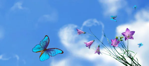 Cielo Azul Con Nubes Flores Mariposas Morfo Azul Nube Forma —  Fotos de Stock