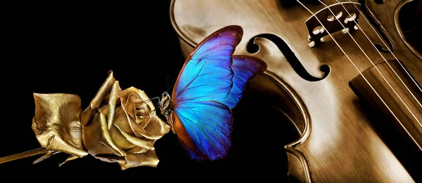 Hudební Koncept Housle Krásný Modrý Morfo Motýl Zlaté Růži Koncept — Stock fotografie