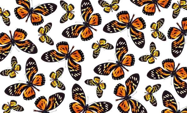 Abstraktní Vzor Pestrobarevných Tropických Motýlů Jasná Tropická Ozdoba Papilio Pterourus — Stock fotografie
