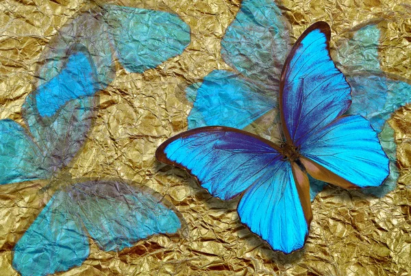色彩艳丽的蓝色蝴蝶 背景金黄 — 图库照片