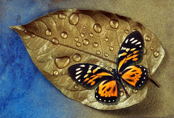 Papillon Tropical Lumineux Sur Une Feuille Dans Des Gouttes Eau — Photo