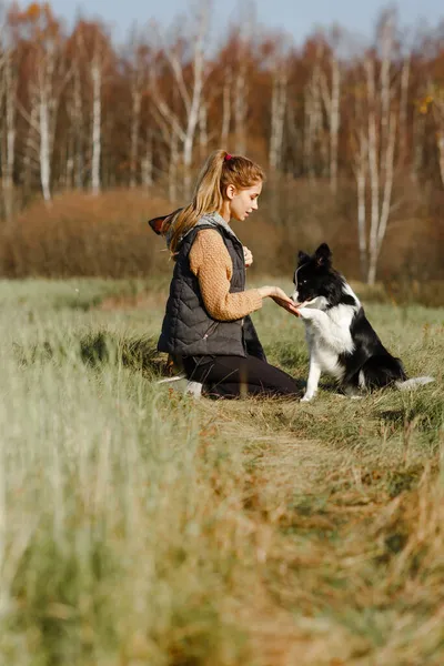 Κορίτσι Κατάρτισης Μαύρο Και Άσπρο Σύνορα Κουτάβι Collie Σκυλί — Φωτογραφία Αρχείου