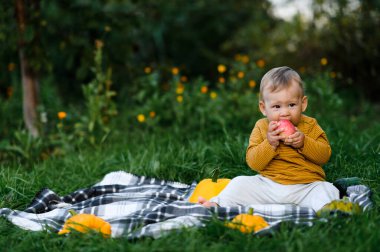 Bahçedeki çimlerin üzerinde oturan ve elma yiyen tatlı erkek bebek.