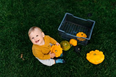 Sebzelerle çimenlerde oturan sevimli bebek, hasat zamanı.