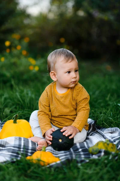 Bebê Bonito Sentado Grama Com Legumes Colheita — Fotografia de Stock