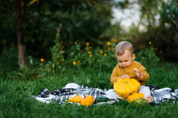 Bebê Bonito Sentado Grama Com Legumes Colheita — Fotografia de Stock