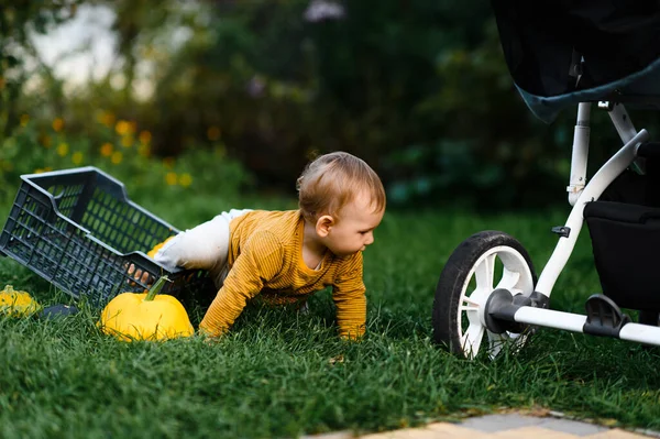 Menino Perto Carrinho Grama Verão — Fotografia de Stock