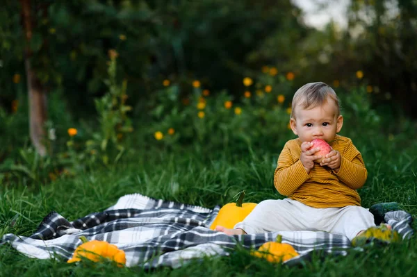 かわいい赤ちゃん男の子は庭に草の上に座ってリンゴを食べる ストックフォト