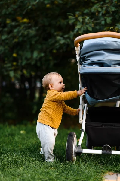 夏に草の上のベビーカーの近くの小さな男の子 ロイヤリティフリーのストック画像