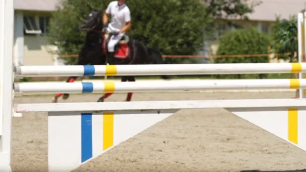 Equestrian show jumping — Stock Video