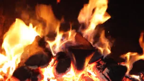 Φλόγα φωτιάς — Αρχείο Βίντεο