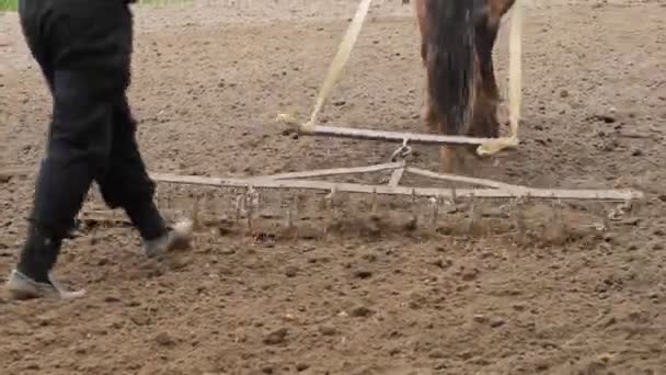 Фермер вспахивает поле с лошадью — стоковое видео