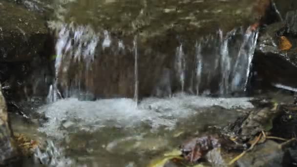 Ruisseau de montagne