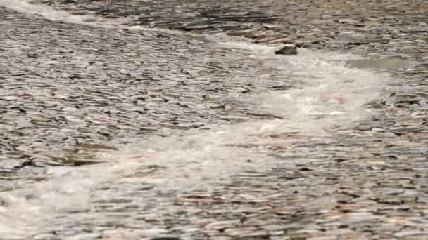 Corriente de lluvia — Vídeos de Stock