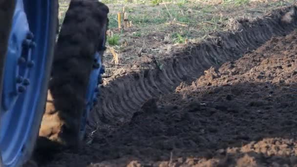 Tractor trabajando en el campo — Vídeos de Stock