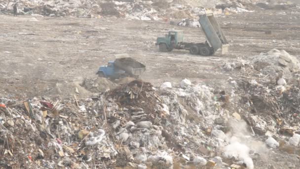 Camión descargando basura — Vídeos de Stock