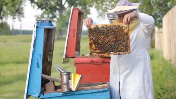 Apicultor con panales — Vídeos de Stock