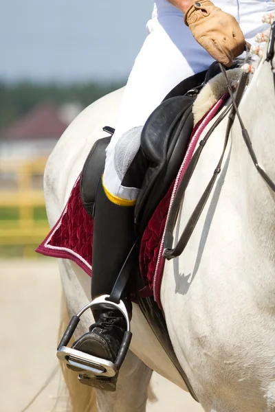 Drezurní kůň — Stock fotografie