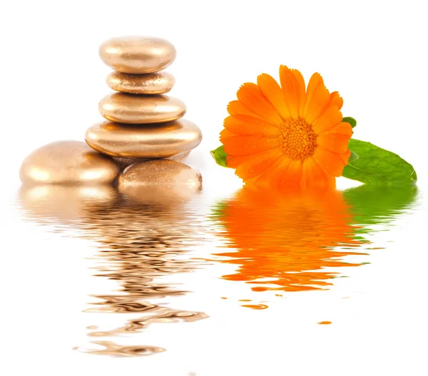 Golden spa stone and calendula — Stock Photo, Image