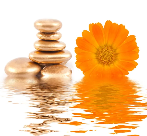 Golden spa stone and calendula flowers — Stock Photo, Image