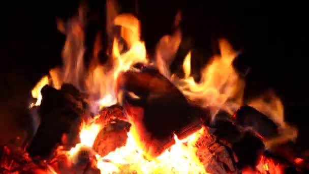 Feuer Flamme — Stockvideo