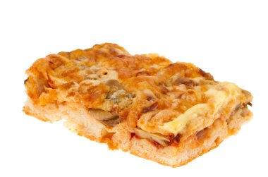 peynir ve mantarlı börek