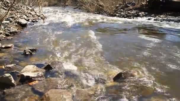 Гірська річка — стокове відео