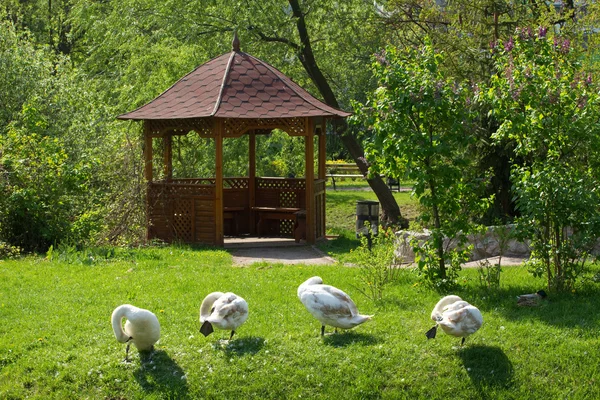 Prachtige houten zomerhuis — Stockfoto