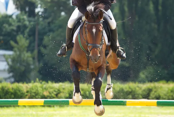 Saut d'obstacles équestres — Photo