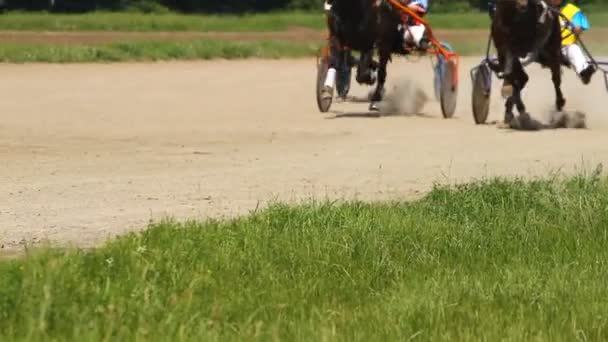 Equestrians running horses — Stock Video