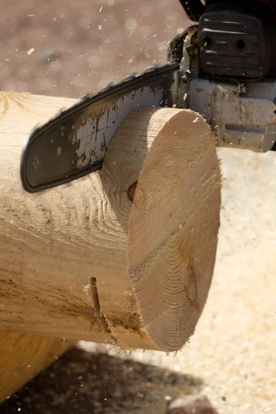 Chainsaw snijden boom — Stockfoto