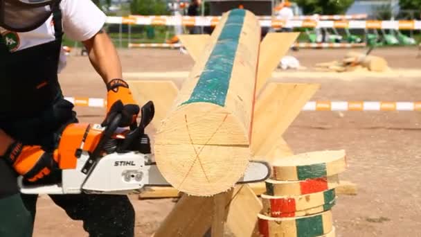 Men's chainsaw log cutting event on Cup Vyshgorod Stihl Lampeland — Stock Video