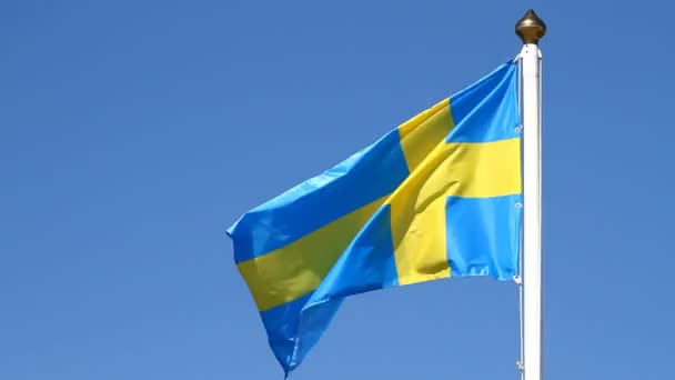 Flagga svensk — Stockvideo