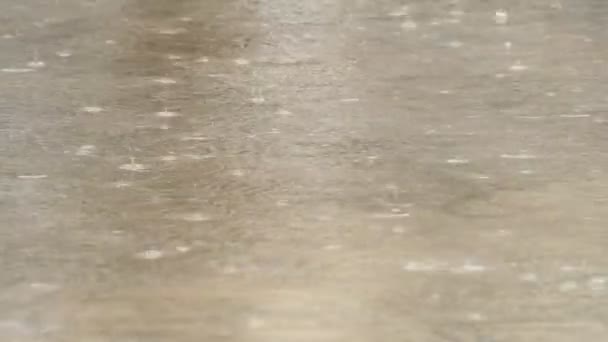 Bir sokakta yağmur — Stok video